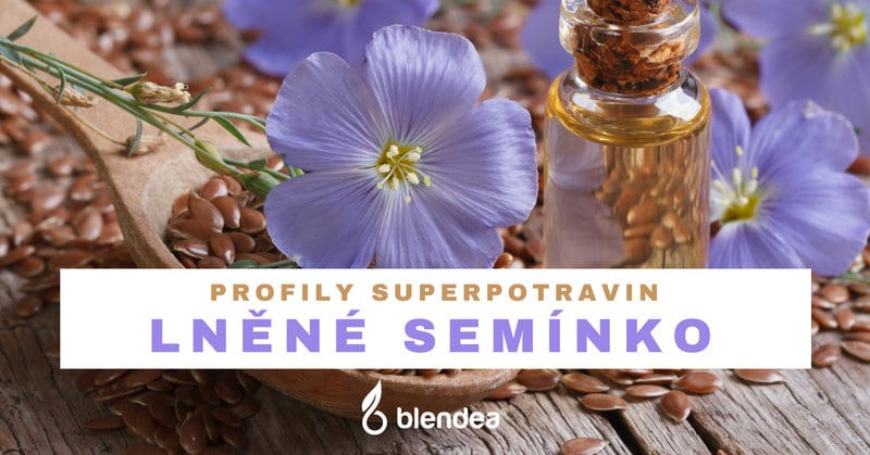 Lněné semínko: účinky, rizika a kompletní nutriční profil