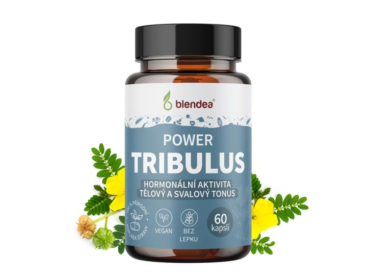 Tribulus terrestris (Kotvičník zemní): Cenná soupiska potvrzených účinků i rizik