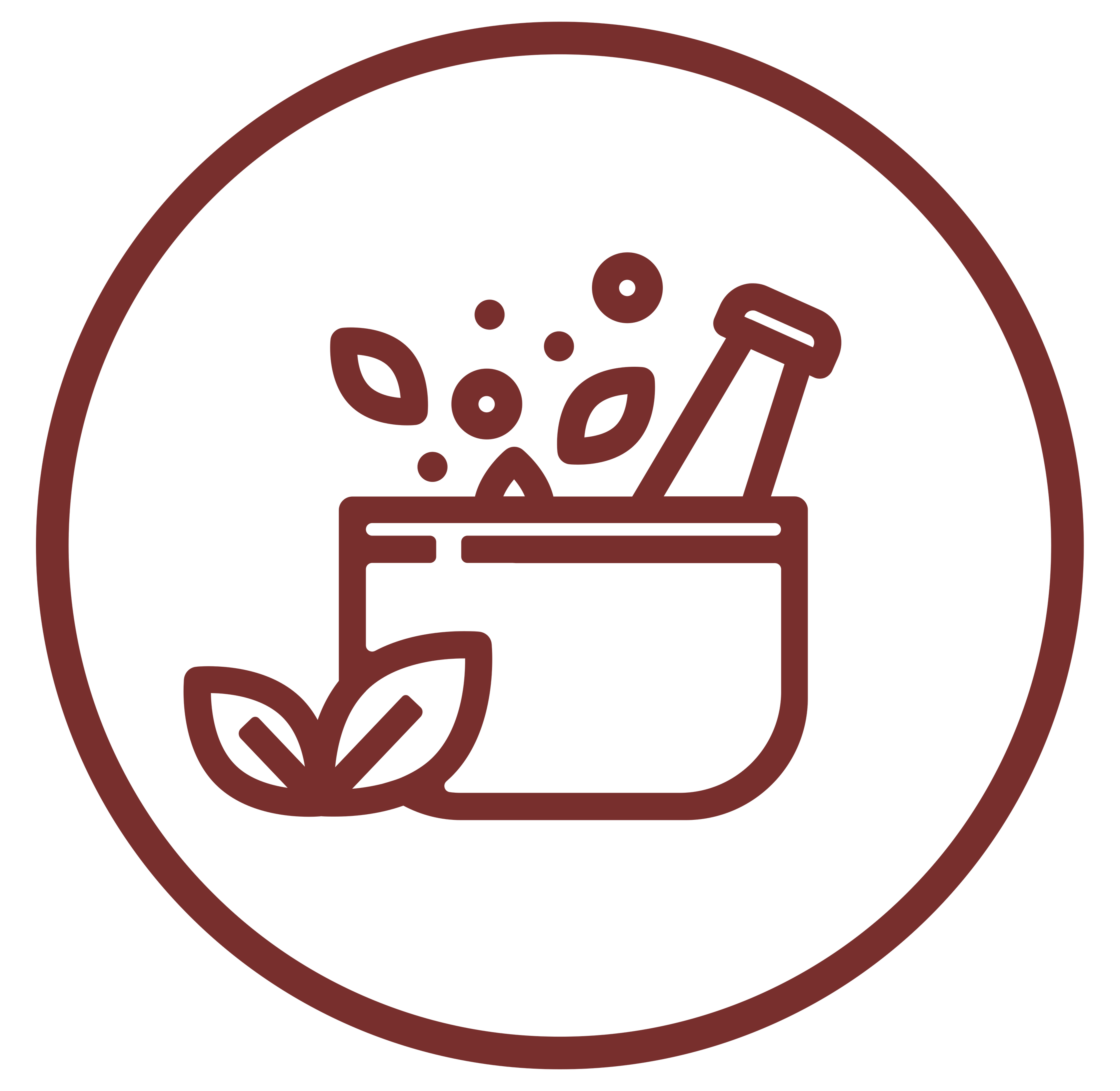 PREGNANCY ESSENTIALS Breastfeeding Complex 60 kapslí