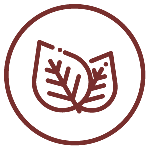 Fatburn Night Drink vzorek