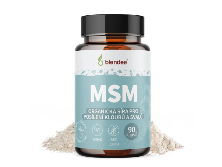 MSM 90 kapslí
