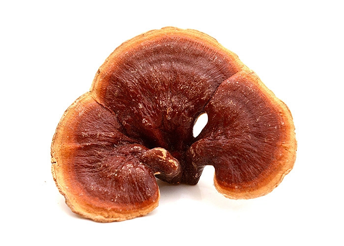 Reishi BIO prášek 100 g
