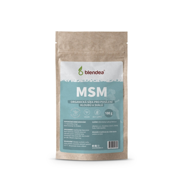 MSM prášek 100 g