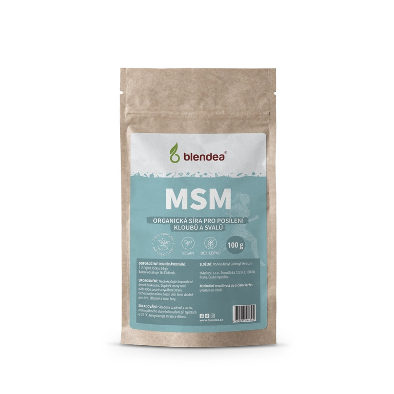MSM prášek 100 g