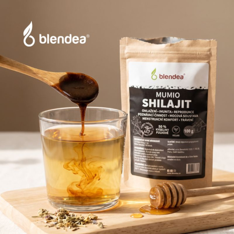Mumio Shilajit prášek 100 g