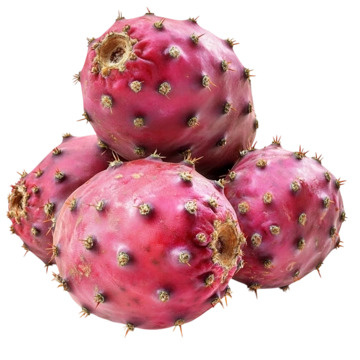 Fatburn Night Drink vzorek