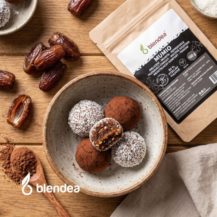 Mumio Shilajit prášek 100 g