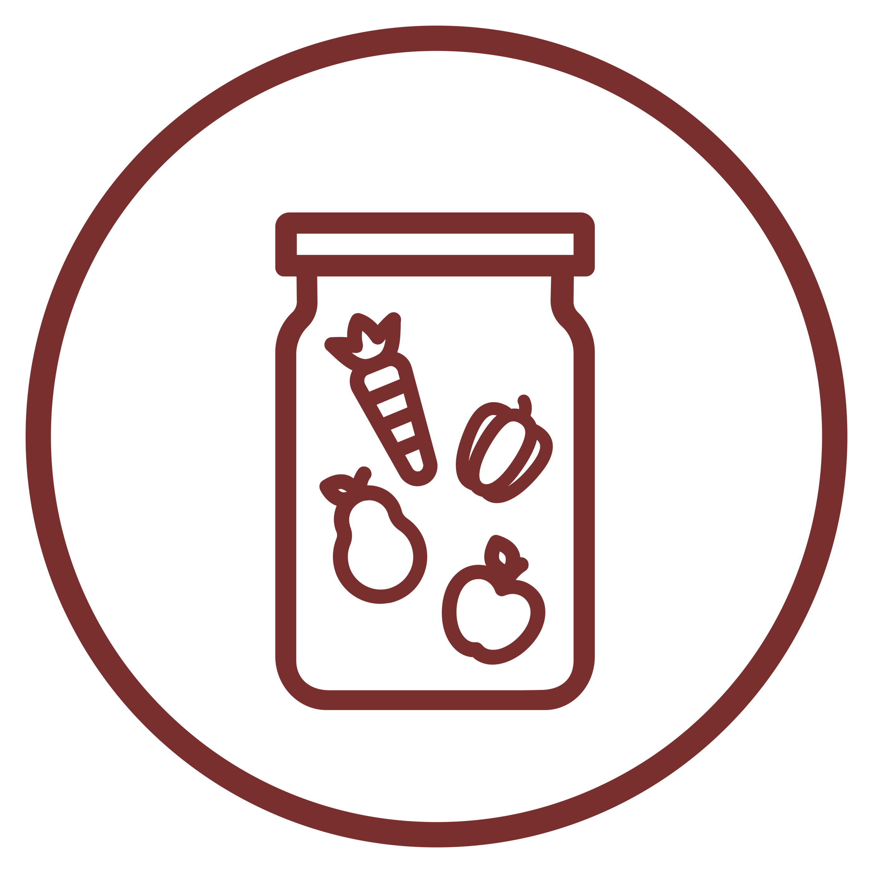 Spirulina BIO Organic 90 kapslí