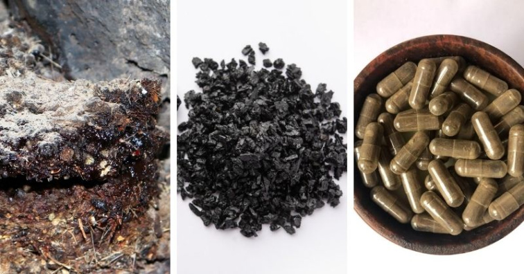 Shilajit: Zdraví prospěšná pryskyřice? Jak se jí a co dělá? 🪨