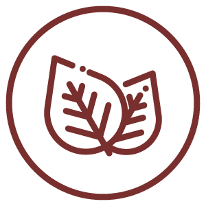 Aktivní uhlí 60 kapslí