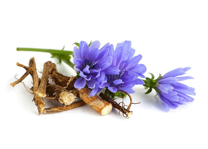 Women's Probio 60 kapslí