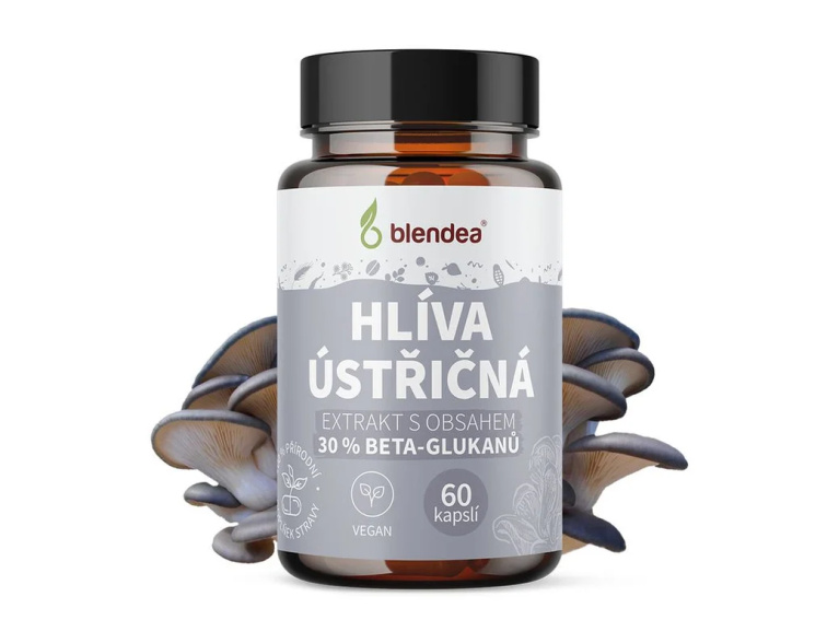 Hlíva ústřičná 60 kapslí