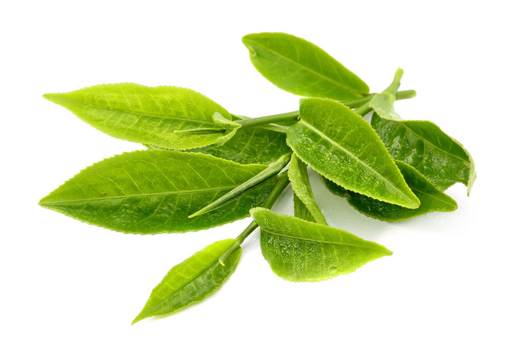 Ashwagandha latté mix 100 g