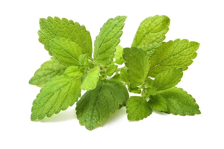 KIDS Sleep Faster kapky pro děti 10 ml