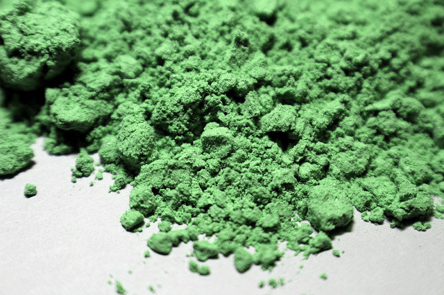 Chlorella z Japonska, Taiwanu nebo z Třeboně?
