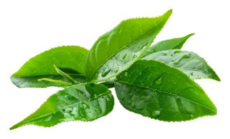 Fatburn Night Drink vzorek