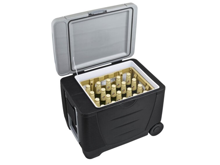 Autochladnička G21 C&W 45 litrov, termoelektrická 12/230 V