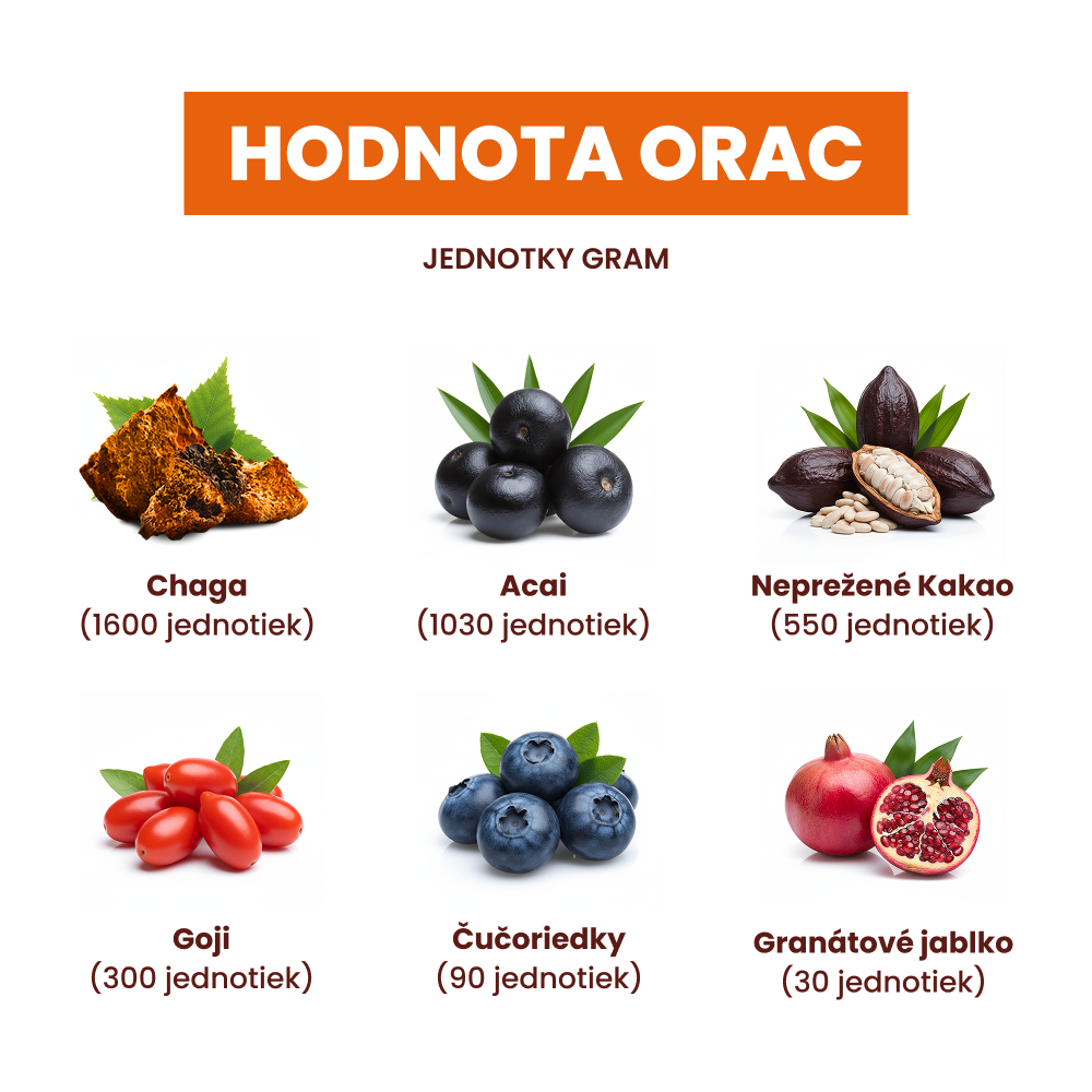 Čaga extrakt 60 kapsúl