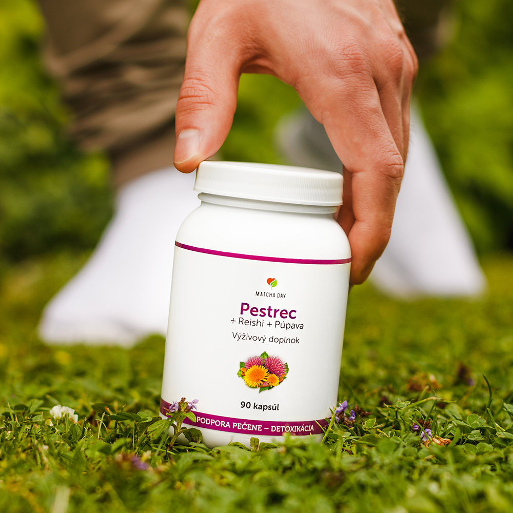 Pestrec + Reishi + Púpava 90 kapsúl