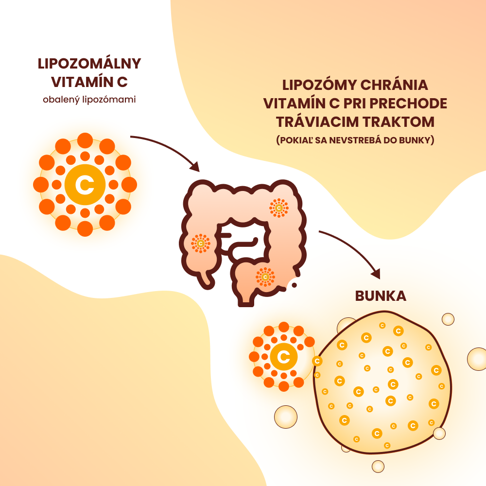 Lipozomálny vitamín C - 500mg - 60 kapsúl