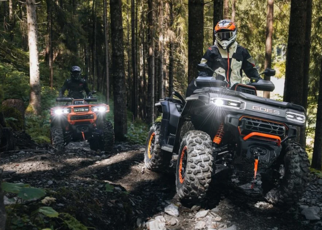 GOES TERROX 1000 T3B