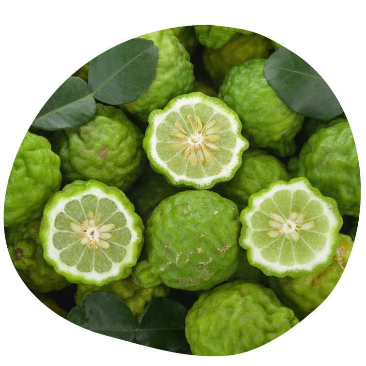 Bergamot 100% esenciálny olej 20 ml