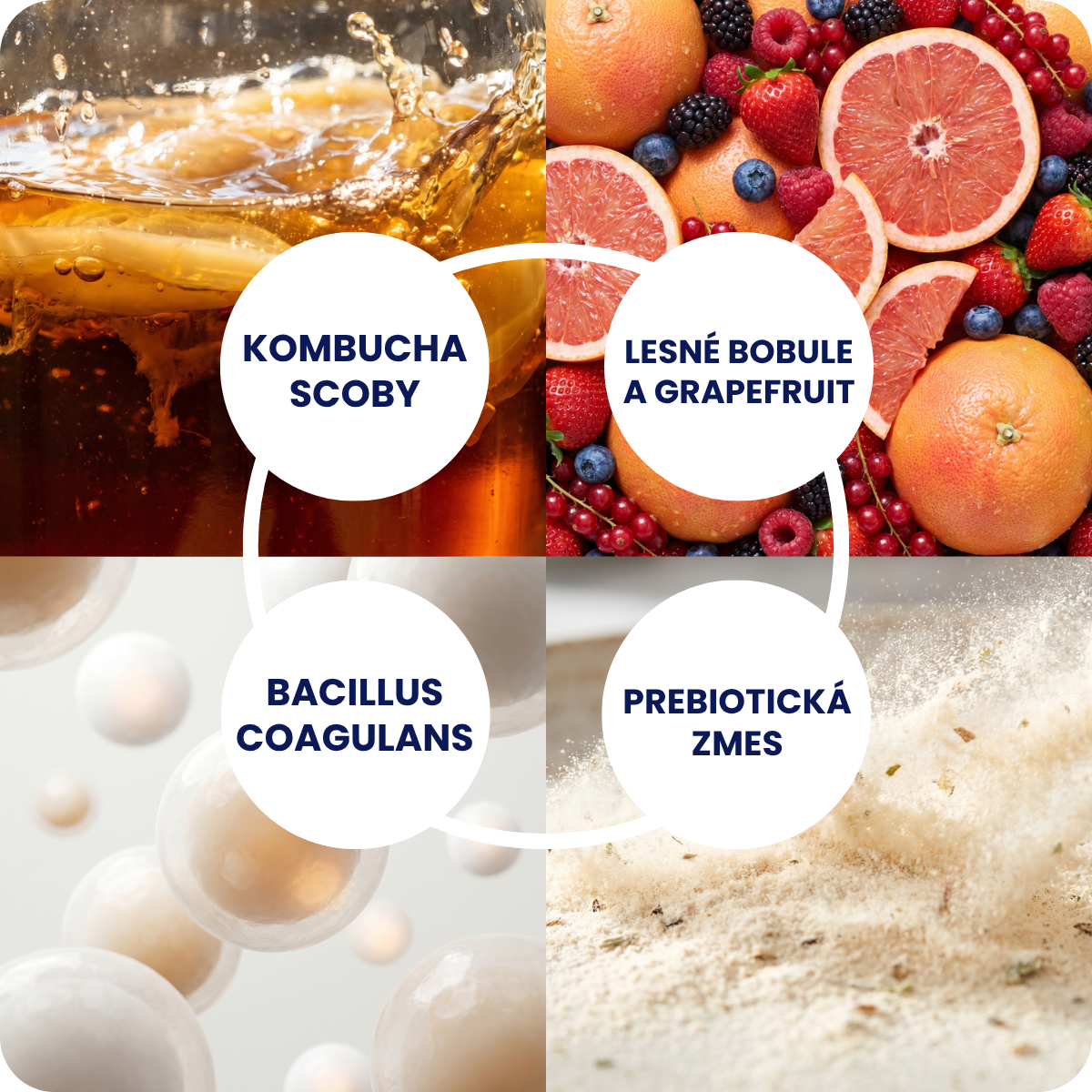 Kombucha Real Bubble Berry Mix + Grapefruit