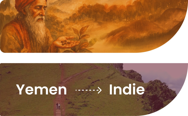 India BABA BUDAN LEGACY, 100% ARABIKA - zrnková káva 300 g