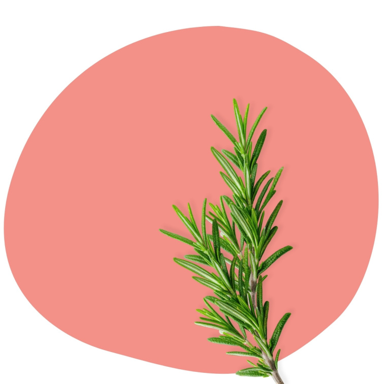 Rosemary 100% esenciálny olej 20 ml