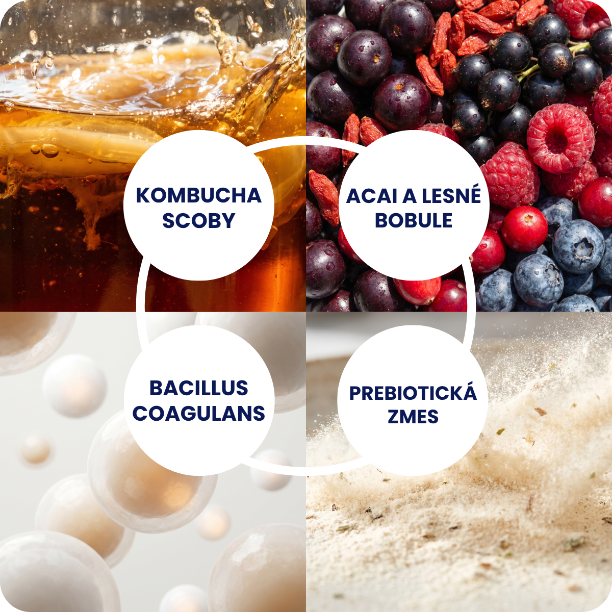 Kombucha Real Bubble Berry Mix