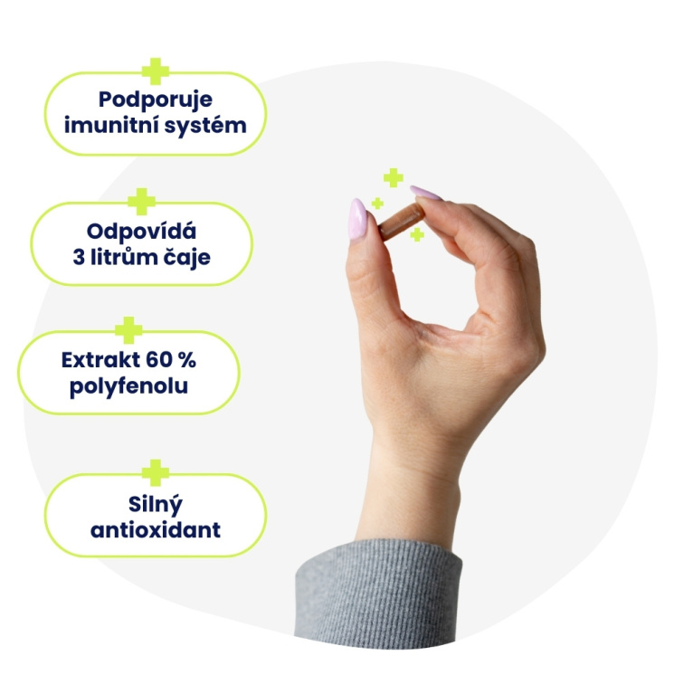 Zelený čaj - 60% polyfenolov 90 kapsúl