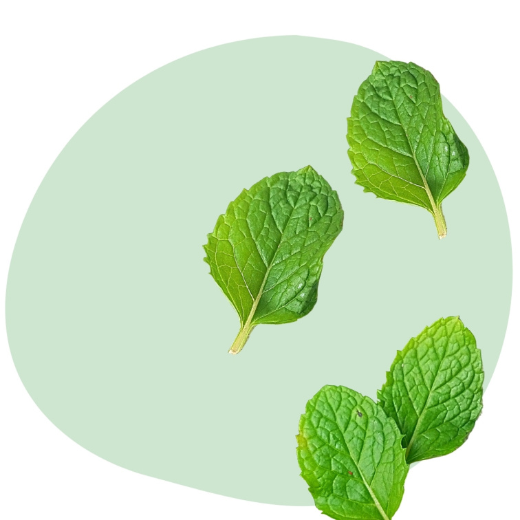 Peppermint 100% esenciálny olej 20 ml