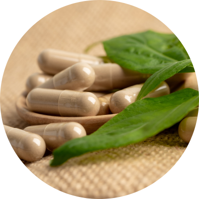 Ostropestřec mariánský - podpora funkce jater, 90 kapslí