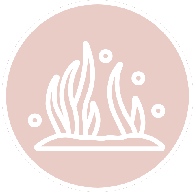 Prenatální Omega-3 s D3 + K2, 60 ml