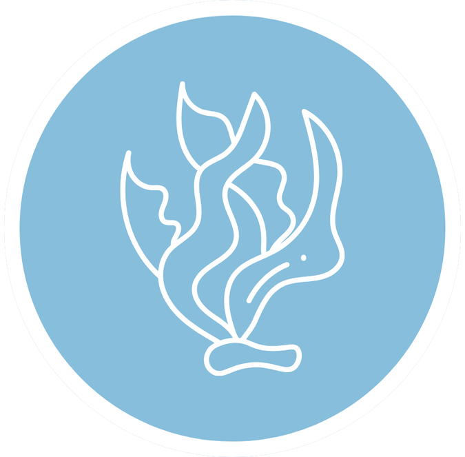 KIDS OMEGA 3 Vegan - limeta, 30 ml