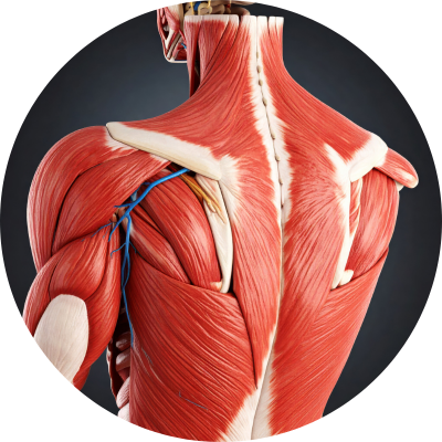 Balíček Zdravé kosti