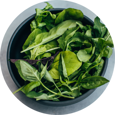 Balíček Podpora otěhotnění