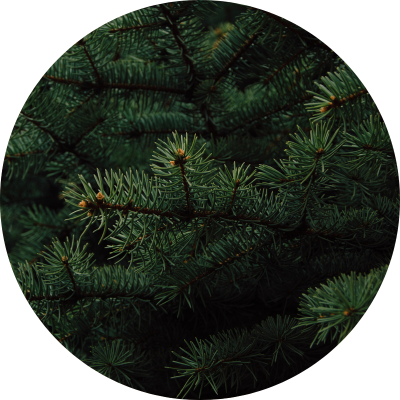 KIDS D3+K2 v bio olivovom oleji VEGAN, 30 ml