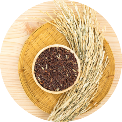 Balíček Pro manažery