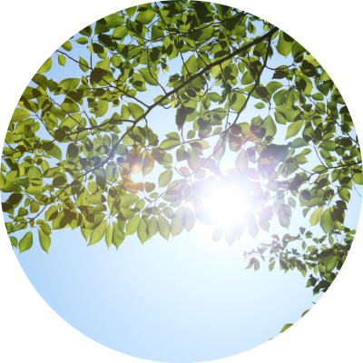 Vitamín D3 VEGAN pre deti v olivovom oleji, 30 ml