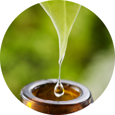 Drmek obecný, 90 kapslí