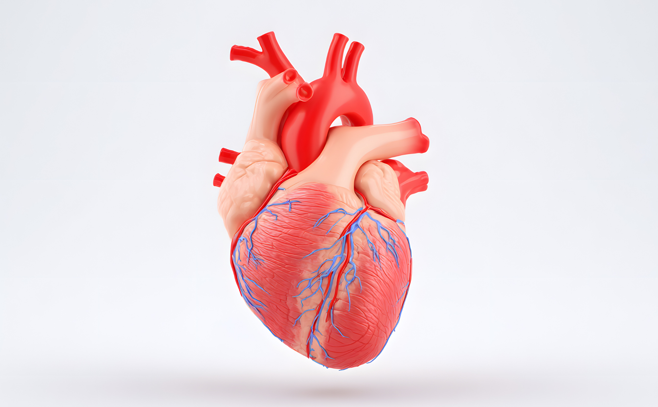 Balíček Podpora kardiovaskulárneho zdravia