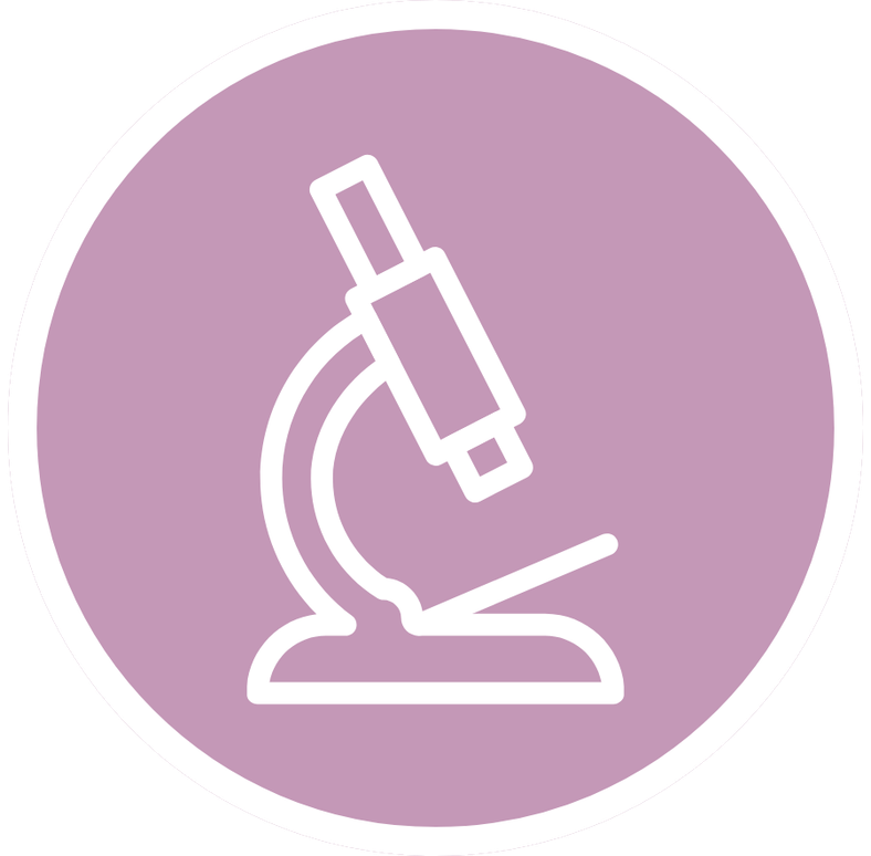 Ostropestřec mariánský - podpora funkce jater, 90 kapslí