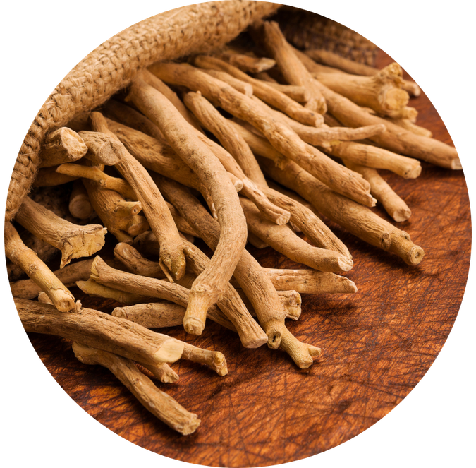 BIO Ashwagandha KSM-66®, 60 kapslí