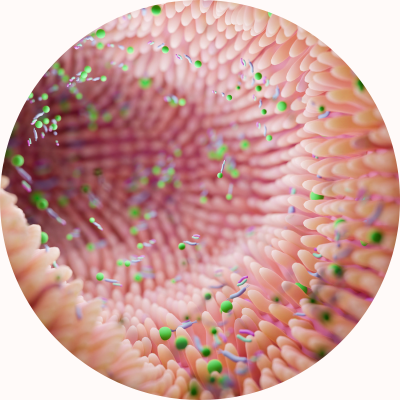 Balíček Základní výživa pro ženy