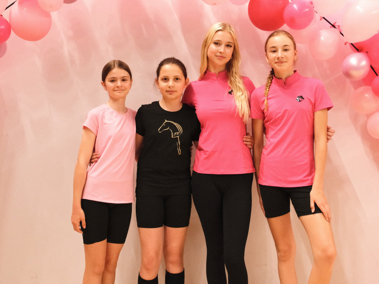 Jak začít s Hobby Horsingem? 