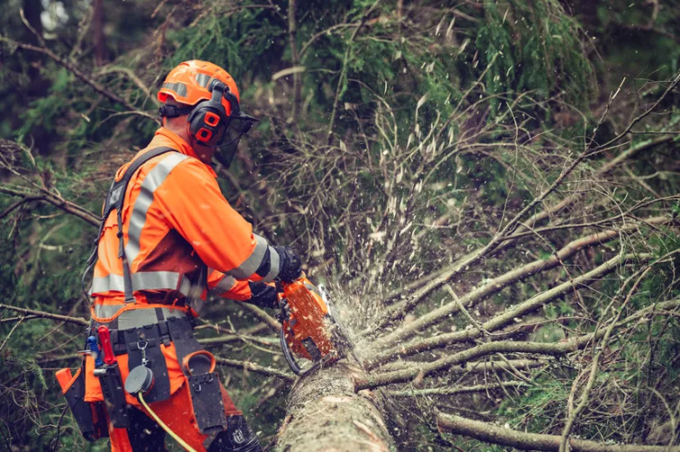 Husqvarna 564 XP® Fuel Inject