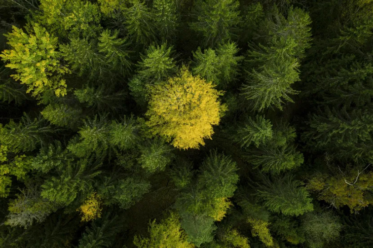 Husqvarna 230iB s akumulátorem a nabíječkou