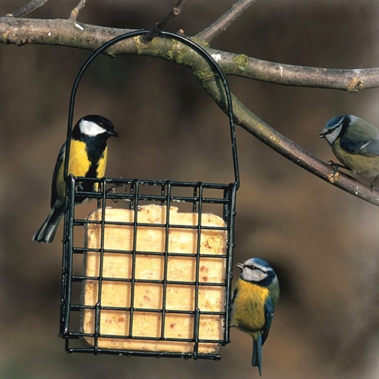 Ptačí lojové koláče