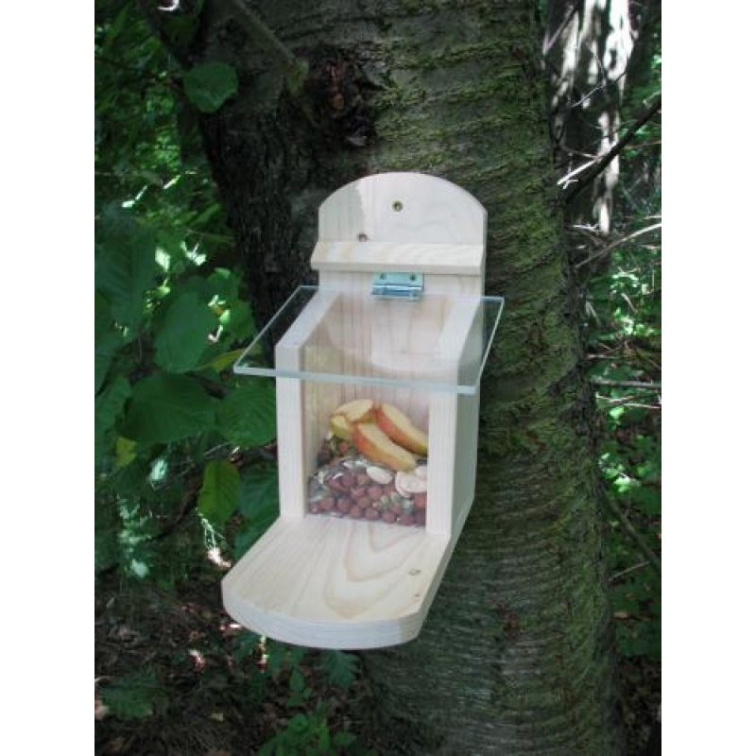 Podzim je v plném běhu – je čas podpořit veverky